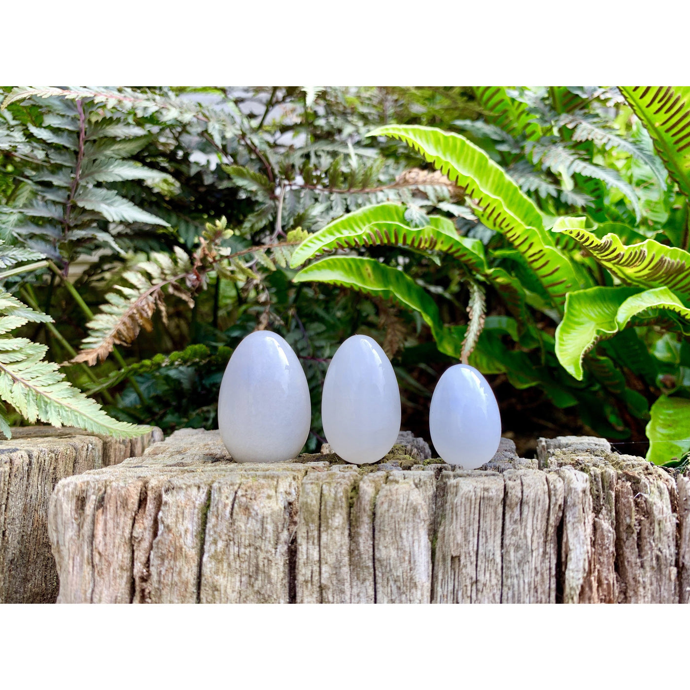 White Jade Kegel Eggs